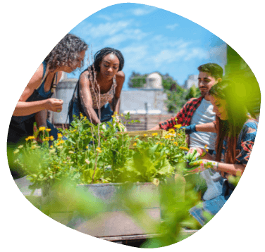 why is social value important?