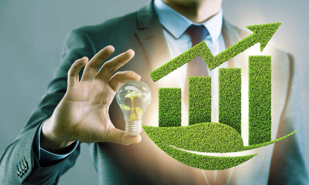 What Drives Business Sustainability